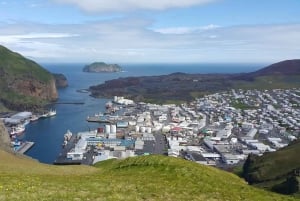 Van Reykjavik: privétour Vestmannaeyjar