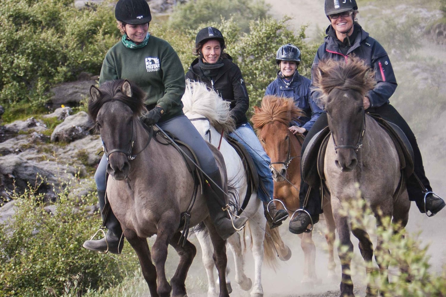 レイキャビク発：ハフナルフィヨルズルでのバイキング乗馬ツアー