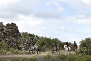 レイキャビク発：ハフナルフィヨルズルでのバイキング乗馬ツアー