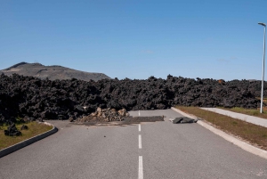 From Reykjavik: Volcanic Peninsula & Grindavik Minibus Tour