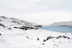From Reykjavik: Volcanic Peninsula & Grindavik Minibus Tour