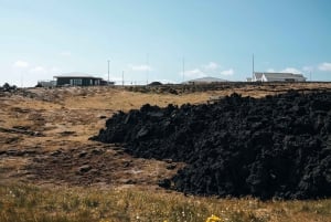 From Reykjavik: Volcanic Peninsula & Grindavik Minibus Tour