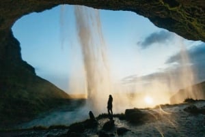 Reykjavík: Entdecke Islands Wasserfälle, Gletscher und den schwarzen Strand