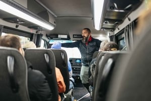 De Reykjavík: Cachoeiras, Praia Negra e Viagem de um dia à Geleira