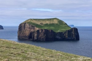 Fra Reykjavik: Vestmannaøyene med ferge og van PRO Photo