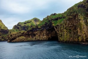 Fra Reykjavik: Vestmannaøyene med ferge og van PRO Photo