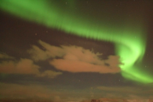 From Reykjavík: Whale Watching and Northern Lights Combo