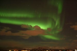 From Reykjavík: Whale Watching and Northern Lights Combo