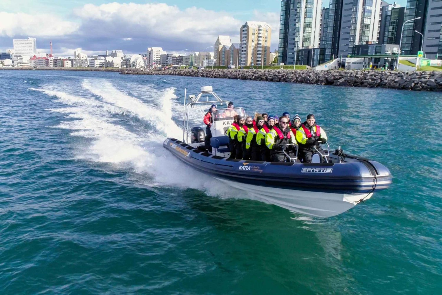 From Reykjavik: Whale Watching Tour by Speedboat