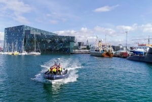 Из Рейкьявика: экскурсия по наблюдению за китами на скоростном катере