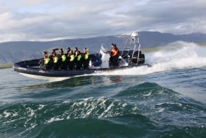 Из Рейкьявика: экскурсия по наблюдению за китами на скоростном катере