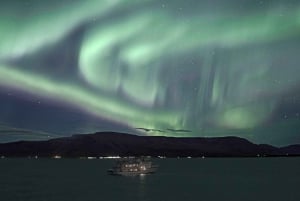 From Reykjavik: Whales and Northern Lights Boat Tour