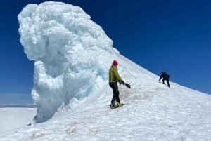 Fra Seljavallalaug: Fottur til toppen av vulkanen Eyjafjallajökull