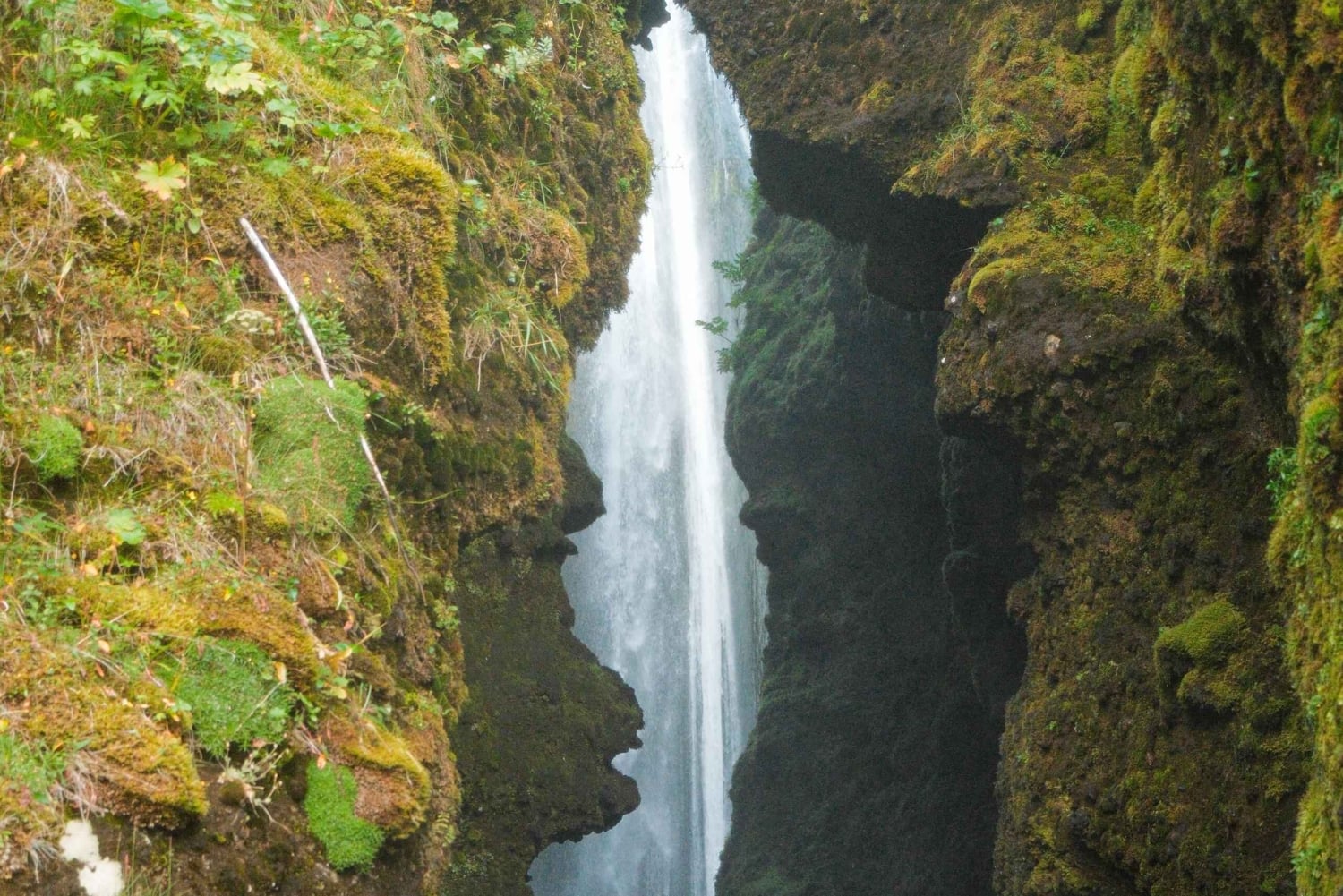 Из Скарфабакки: тур по южному побережью с посещением ледника Сольхеймайокутль
