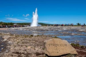 From Reykjavík: Full-day Horse Riding & Golden Circle Tour