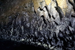 Geologisk lavatunneleventyr - Arnarker-grotten