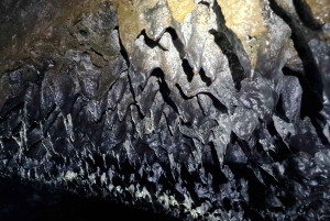 Geologisk lavatunneleventyr - Arnarker-grotten