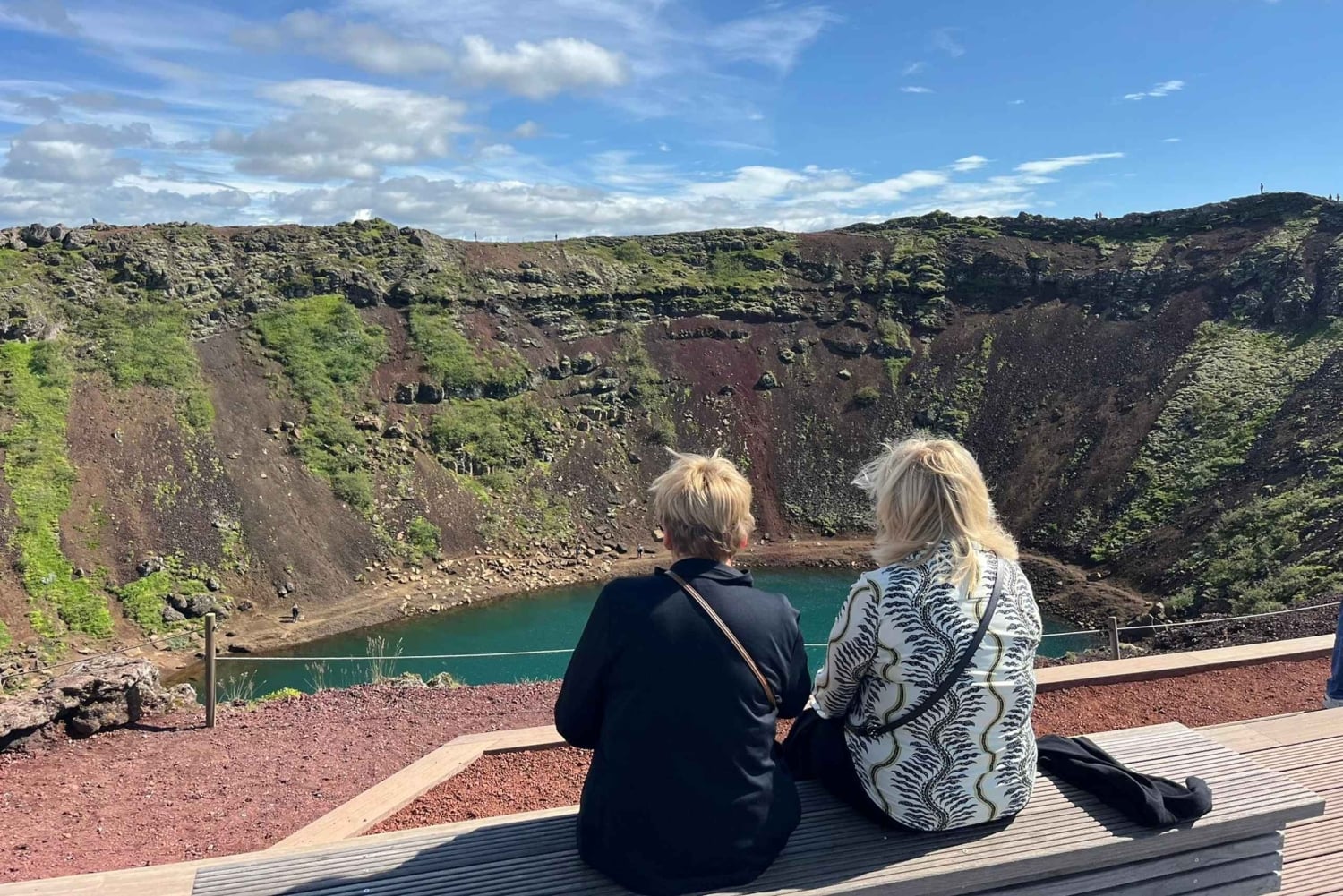 Tour privato del Circolo d'Oro e della serra di Fridheimar