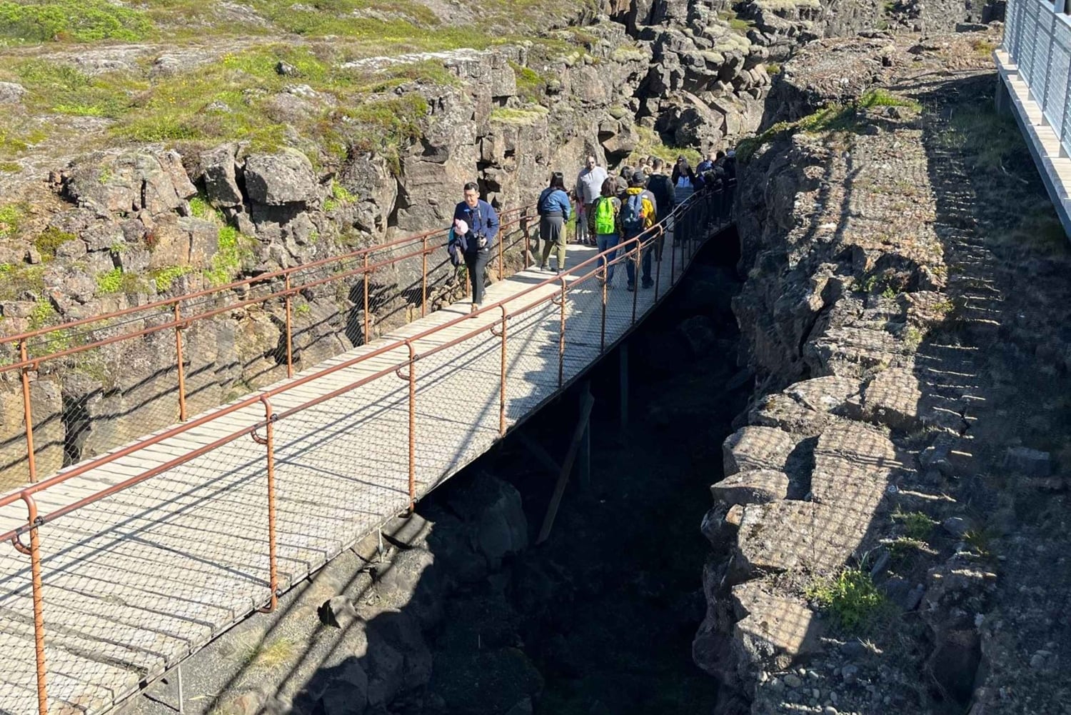 Tour privato del Circolo d'Oro e della serra di Fridheimar