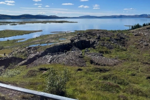 Golden Circle and Fridheimar Greenhouse Private Tour