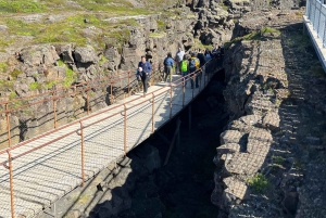 Golden Circle and Fridheimar Greenhouse Private Tour