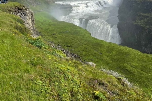Golden Circle and Fridheimar Greenhouse Private Tour