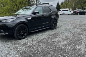 Golden Circle and Fridheimar Greenhouse Private Tour