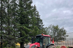 Golden Circle and Fridheimar Greenhouse Private Tour