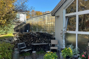 Golden Circle and Fridheimar Greenhouse Private Tour
