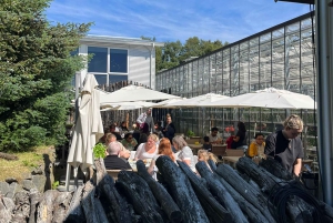 Golden Circle and Fridheimar Greenhouse Private Tour