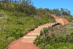 Golden Circle and Fridheimar Greenhouse Private Tour