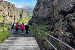 Tour privato del Circolo d'Oro e della serra di Fridheimar