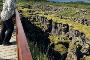 Tour privato del Circolo d'Oro e della serra di Fridheimar
