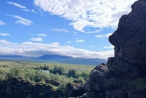 Tour privato del Circolo d'Oro e della serra di Fridheimar