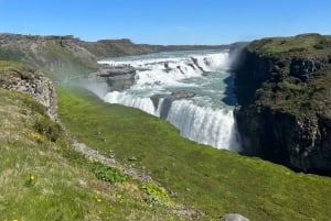 Tour privato del Circolo d'Oro e della serra di Fridheimar
