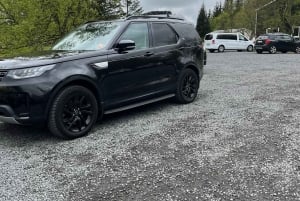 Tour privato del Circolo d'Oro e della serra di Fridheimar