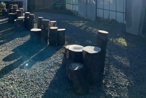 Tour privato del Circolo d'Oro e della serra di Fridheimar