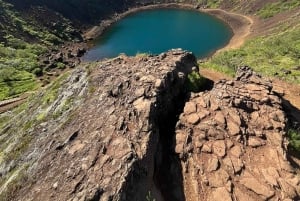 Tour privato del Circolo d'Oro e della serra di Fridheimar