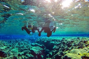 Golden Circle and Snorkelling in Silfra with Photos Included