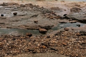 Золотое кольцо и Южный берег. Дневной тур