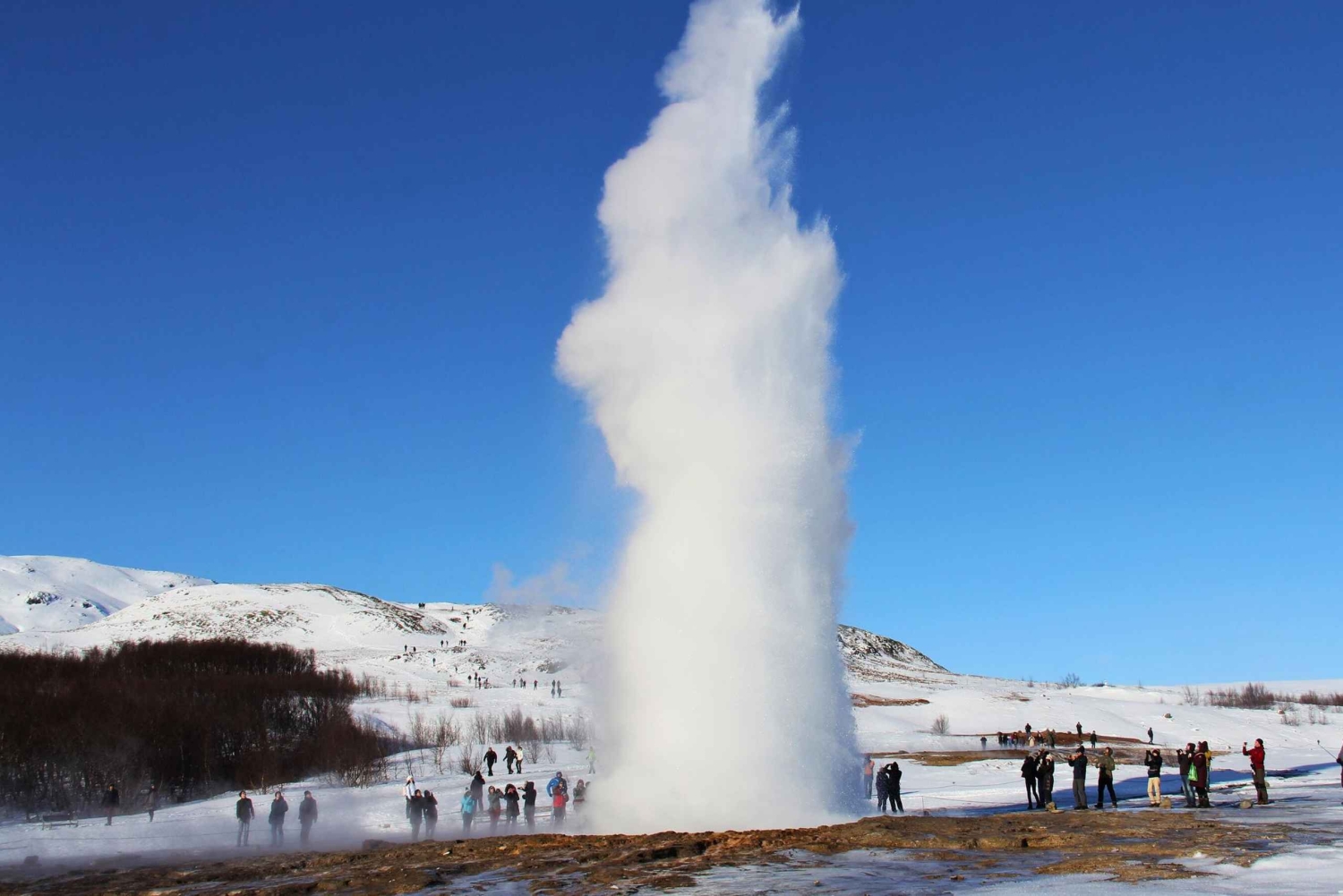 Den gyldne cirkel Elite: Friðheimar-gården og Sky Lagoon