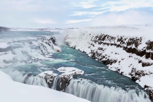 Den gyldne cirkel Elite: Friðheimar-gården og Sky Lagoon