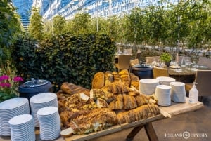 Gyllene cirkeln: Gejsrar, vattenfall och tomatodling med lunch