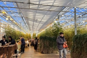 Cerchio d'oro, panificio termale, tour privato della fattoria di pomodori