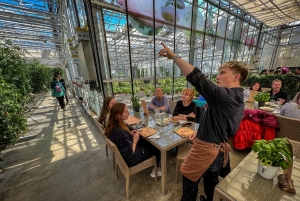 Golden Circle & Lunch at Fridheimar Tomato Farm- with photos