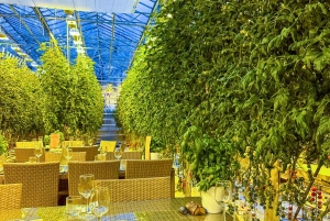 Il meglio del Circolo d'Oro: Kerid e la fattoria di pomodori Friðheimar