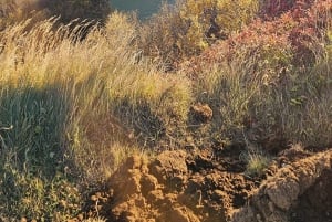 Golden Circle Private Day Tour with Blue Lagoon(Optional)