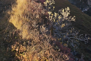 Golden Circle Private Day Tour with Blue Lagoon(Optional)