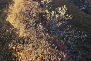 Golden Circle : Private Day Tour