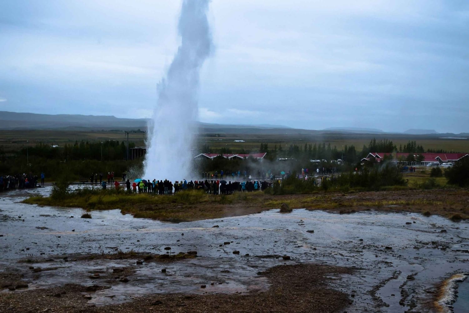 Golden Circle: Private Tour for up to 7 PAX /7 Hours/